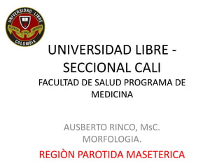 UNIVERSIDAD LIBRE -
SECCIONAL CALI
FACULTAD DE SALUD PROGRAMA DE
MEDICINA
AUSBERTO RINCO, MsC.
MORFOLOGIA.
REGIÒN PAROTIDA MASETERICA
 