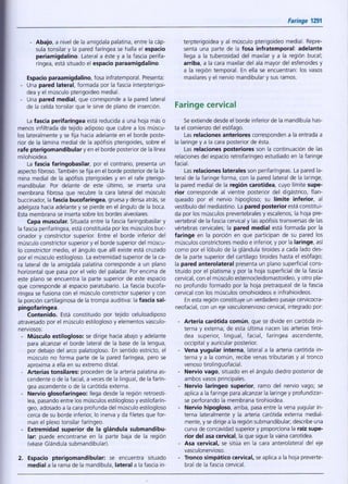 Anatomy and Physiology of the Glossopharyngeal Nerve, Gustatory System ...