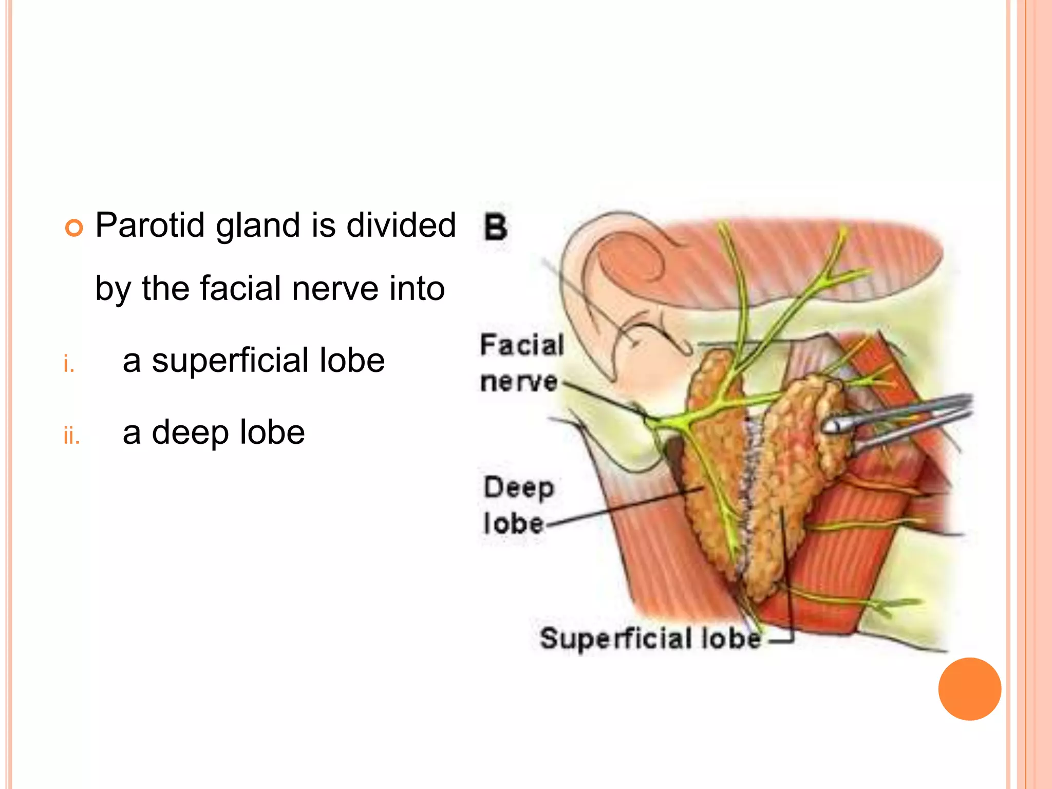 Parotidectomy | PPTX
