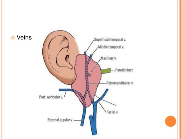 parotidectomy