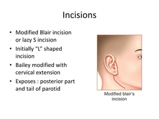 Parotid Incision Types Parotidectomy : Operative Technique | PPTX