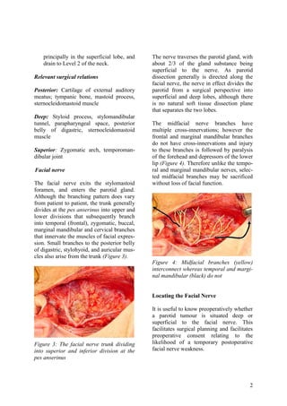 Parotidectomy hegazy | PDF