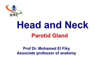 Head and Neck
Parotid Gland
Prof Dr. Mohamed El Fiky
Associate professor of anatomy
 