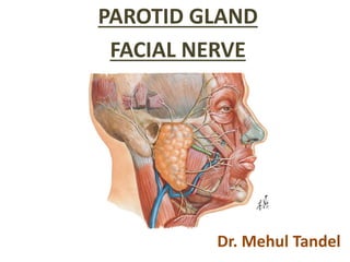 PAROTID GLAND
FACIAL NERVE
Dr. Mehul Tandel
 