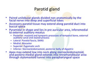 Parotid gland
• Paired unilobular glands divided non anatomically by the
  facial nerve into deep and superficial lobes
• Accessory parotid tissue may extend along parotid duct into
  buccal space
• Pyramidal in shape and lies in pre auricular area, inferomedial
  to external auditory meatus
   – Posterior: mastoid and tympanic processes of temporal bone, external
     auditory canal and styloid process
   – Lateral: Parotid fascia, SMAS
   – Medial: Masseter
   – Superior: Zygomatic arch
   – Inferior: Sternocleidomastoid, posterior belly of digastric
• Apex may extend low into neck along sternocleidomastoid,
  and postero-medial gland extends into retromandibular area
  through stylomastoid tunnel into parapharyngeal space
 