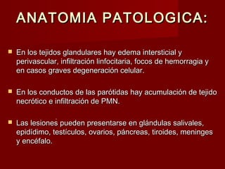 ANATOMIA PATOLOGICA:ANATOMIA PATOLOGICA:
 En los tejidos glandulares hay edema intersticial yEn los tejidos glandulares hay edema intersticial y
perivascular, infiltración linfocitaria, focos de hemorragia yperivascular, infiltración linfocitaria, focos de hemorragia y
en casos graves degeneración celular.en casos graves degeneración celular.
 En los conductos de las parótidas hay acumulación de tejidoEn los conductos de las parótidas hay acumulación de tejido
necrótico e infiltración de PMN.necrótico e infiltración de PMN.
 Las lesiones pueden presentarse en glándulas salivales,Las lesiones pueden presentarse en glándulas salivales,
epidídimo, testículos, ovarios, páncreas, tiroides, meningesepidídimo, testículos, ovarios, páncreas, tiroides, meninges
y encéfalo.y encéfalo.
.
 