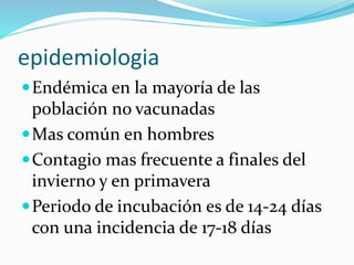 epidemiologia
Endémica en la mayoría de las
población no vacunadas
Mas común en hombres
Contagio mas frecuente a finales del
invierno y en primavera
Periodo de incubación es de 14-24 días
con una incidencia de 17-18 días
 