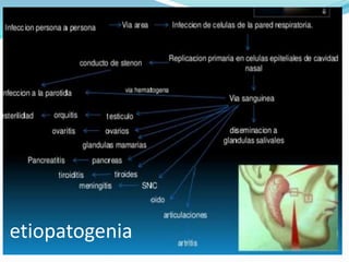 etiopatogenia
 