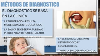 MÉTODOS DE DIAGNOSTICO
EL DIAGNÓSTICO SE BASA
EN LA CLÍNICA
•LATUMORACIÓN RESULTA
MODERADAMENTE DOLOROSA.
•LA SALIVA SE OBSERVATURBIA O
PURULENTAY DE SABOR SALADO.
•ES POSIBLE DRENAR PUS DE LA
PARÓTIDA.
•HAY UNA MARCADA DISMINUCIÓN DEL
FLUJO SALIVAL.
•EN EL FROTIS SE OBSERVAN
ESTREPTOCOCOSY
ESTAFILOCOCOS.
•TANTO LA SIALOGRAFÍA COMO LA
BIOPSIA NO SON
 