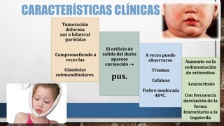 CARACTERÍSTICAS CLÍNICAS
Tumoración
dolorosa
uni o bilateral
parótidas
Comprometiendo a
veces las
Glandulas
submandibulares.
El orificio de
salida del ducto
aparece
enrojecido 
pus.
A veces puede
observarse
Trismus
Cefaleas
Fiebre moderada
40ºC.
Aumento en la
sedimentación
de eritrocitos
Leucocitosis
Con frecuencia
desviación de la
forma
leucocitaria a la
izquierda
 