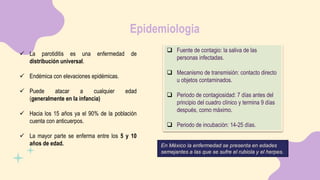 Epidemiologia
 La parotiditis es una enfermedad de
distribución universal.
 Endémica con elevaciones epidémicas.
 Puede atacar a cualquier edad
(generalmente en la infancia)
 Hacia los 15 años ya el 90% de la población
cuenta con anticuerpos.
 La mayor parte se enferma entre los 5 y 10
años de edad. En México la enfermedad se presenta en edades
semejantes a las que se sufre el rubiola y el herpes.
 Fuente de contagio: la saliva de las
personas infectadas.
 Mecanismo de transmisión: contacto directo
u objetos contaminados.
 Periodo de contagiosidad: 7 días antes del
principio del cuadro clínico y termina 9 días
después, como máximo.
 Periodo de incubación: 14-25 días.
 