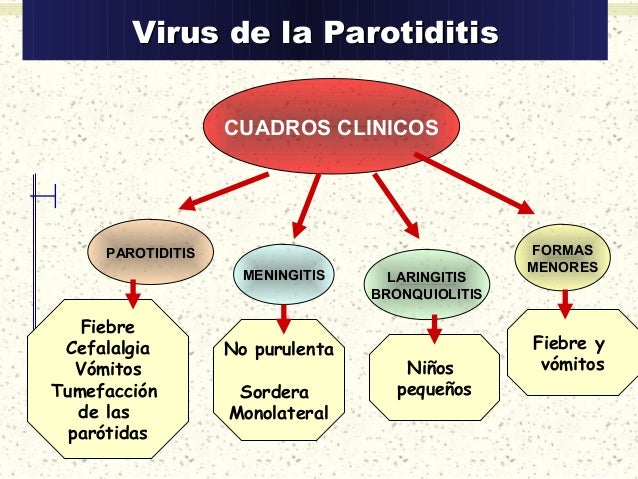 cadena epidemiologica paperas parotiditis sarion rubeola cadena epidemiologica paperas parotiditis sarion rubeola
