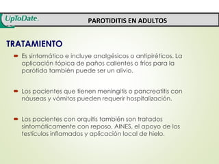 PAROTIDITIS EN ADULTOS 
TRATAMIENTO 
 Es sintomático e incluye analgésicos o antipiréticos. La 
aplicación tópica de paños calientes o fríos para la 
parótida también puede ser un alivio. 
 Los pacientes que tienen meningitis o pancreatitis con 
náuseas y vómitos pueden requerir hospitalización. 
 Los pacientes con orquitis también son tratados 
sintomáticamente con reposo, AINES, el apoyo de los 
testículos inflamados y aplicación local de hielo. 
 