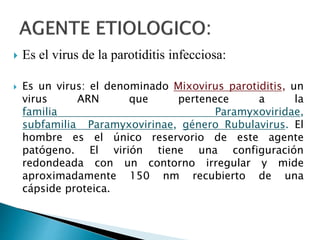Parotiditis Taller de Salud y Ambiente. | PPTX