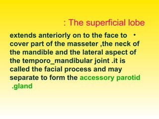 The superficial lobe:
•extends anteriorly on to the face to
cover part of the masseter ,the neck of
the mandible and the lateral aspect of
the temporo_mandibular joint .it is
called the facial process and may
separate to form the accessory parotid
gland.
 