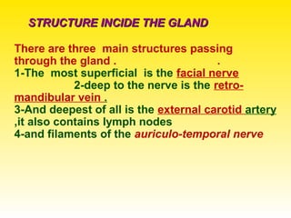 STRUCTURE INCIDE THE GLANDSTRUCTURE INCIDE THE GLAND
There are three main structures passing
through the gland . .
1-The most superficial is the facial nerve
2-deep to the nerve is the retro-
mandibular vein .
3-And deepest of all is the external carotid artery
,it also contains lymph nodes
4-and filaments of the auriculo-temporal nerve
 