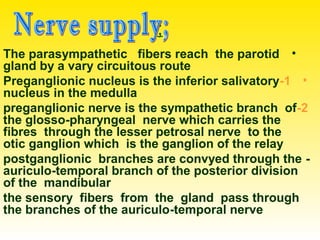 ;
•The parasympathetic fibers reach the parotid
gland by a vary circuitous route
•1-Preganglionic nucleus is the inferior salivatory
nucleus in the medulla
2-preganglionic nerve is the sympathetic branch of
the glosso-pharyngeal nerve which carries the
fibres through the lesser petrosal nerve to the
otic ganglion which is the ganglion of the relay
-postganglionic branches are convyed through the
auriculo-temporal branch of the posterior division
of the mandibular
the sensory fibers from the gland pass through
the branches of the auriculo-temporal nerve
 