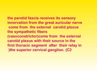 •.
-
the parotid fascia receives its sensory
innervation from the great auricular nerve
come from the external carotid plexus
the sympathetic fibers
(vasoconstrictor)come from the external
carotid plexus with their source in the
first thoracic segment after their relay in
the superior cervical ganglion. (C2)
 