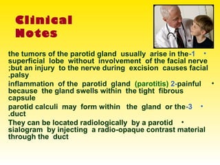 Clinical
Notes
•1-the tumors of the parotid gland usually arise in the
superficial lobe without involvement of the facial nerve
;but an injury to the nerve during excision causes facial
palsy.
•inflammation of the parotid gland (parotitis) 2-painful
because the gland swells within the tight fibrous
capsule
•3-parotid calculi may form within the gland or the
duct.
•They can be located radiologically by a parotid
sialogram by injecting a radio-opaque contrast material
through the duct
 