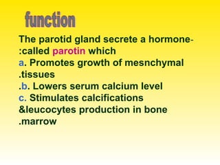 -The parotid gland secrete a hormone
called parotin which:
a. Promotes growth of mesnchymal
tissues.
b. Lowers serum calcium level.
c. Stimulates calcifications
&leucocytes production in bone
marrow.
 