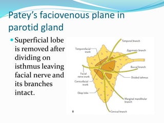 Patey’s faciovenous plane in
parotid gland
 Superficial lobe
is removed after
dividing on
isthmus leaving
facial nerve and
its branches
intact.
 