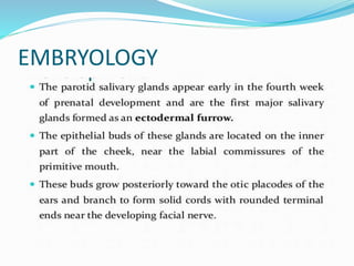 EMBRYOLOGY
 