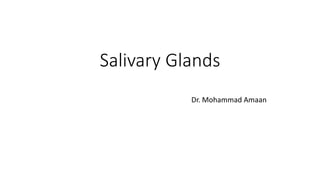 Salivary Glands
Dr. Mohammad Amaan
 