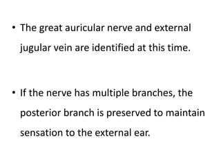 • The great auricular nerve and external
jugular vein are identified at this time.
• If the nerve has multiple branches, the
posterior branch is preserved to maintain
sensation to the external ear.
 