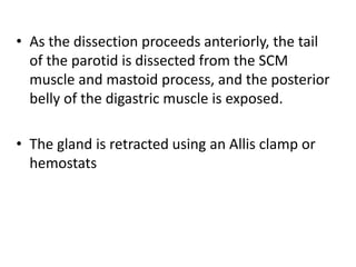 • As the dissection proceeds anteriorly, the tail
of the parotid is dissected from the SCM
muscle and mastoid process, and the posterior
belly of the digastric muscle is exposed.
• The gland is retracted using an Allis clamp or
hemostats
 