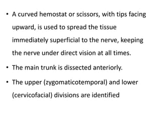 • A curved hemostat or scissors, with tips facing
upward, is used to spread the tissue
immediately superficial to the nerve, keeping
the nerve under direct vision at all times.
• The main trunk is dissected anteriorly.
• The upper (zygomaticotemporal) and lower
(cervicofacial) divisions are identified
 