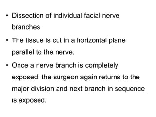 • Dissection of individual facial nerve
branches
• The tissue is cut in a horizontal plane
parallel to the nerve.
• Once a nerve branch is completely
exposed, the surgeon again returns to the
major division and next branch in sequence
is exposed.
 