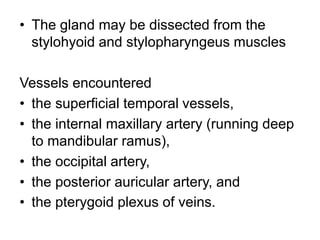 • The gland may be dissected from the
stylohyoid and stylopharyngeus muscles
Vessels encountered
• the superficial temporal vessels,
• the internal maxillary artery (running deep
to mandibular ramus),
• the occipital artery,
• the posterior auricular artery, and
• the pterygoid plexus of veins.
 