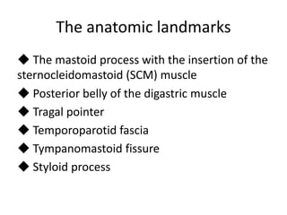 The anatomic landmarks
◆ The mastoid process with the insertion of the
sternocleidomastoid (SCM) muscle
◆ Posterior belly of the digastric muscle
◆ Tragal pointer
◆ Temporoparotid fascia
◆ Tympanomastoid fissure
◆ Styloid process
 