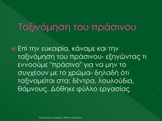  Επί την ευκαιρία, κάναμε και την
ταξινόμηση του πράσινου- εξηγώντας τι
εννοούμε "πράσινο" για να μην το
συγχέουν με το χρώμα- δηλαδή ότι
ταξινομείται στα: δέντρα, λουλούδια,
θάμνους. Δόθηκε φύλλο εργασίας
Υλοποίηση κι επιμέλεια: Αθηνά Δολιανίτη
 