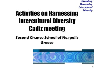 Second Chance School of Neapolis Greece Activities on Harnessing Intercultural Diversity Cadiz meeting Grundtvig Harnessing Intercultural Diversity 
