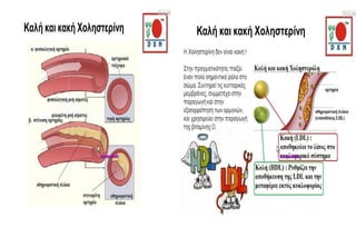  dxn health & buissens