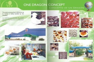  dxn health & buissens