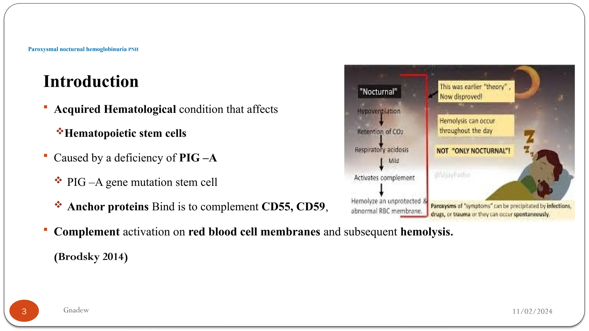 PAROXYSMAL NOCTURNAL HEMOGLOBINURIA.pptx
