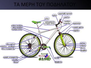 ΤΑ ΜΕΡΗ ΤΟΥ ΠΟΔΗΛΑΤΟΥ
 