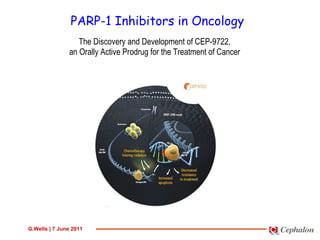 PARP-1 Inhibitors in Oncology The Discovery and Development of CEP-9722, an Orally Active Prodrug for the Treatment of Cancer 