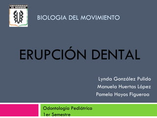 BIOLOGIA DEL MOVIMIENTO Lynda González Pulido Manuela Huertas López Pamela Hoyos Figueroa  ERUPCIÓN DENTAL Odontología Pediátrica 1er Semestre  