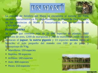 • La reserva de biósfera del Manu se encuentra al sureste del Perú,
  ubicado parcialmente en los departamentos de Madre de Dios y Cusco,
  en las provincias de Manu y Paucartambo. Con un territorio de
  1 909 800 ha.
• FLORA Y FAUNA
  Se estima que contiene más de 20 000 especies de plantas, 1000
  especies de aves, 1200 de mariposas, y 200 de mamíferos, entre los que
  destacan el jaguar, la nutria gigante y 14 especies monos como el
  leoncito, el más pequeño del mundo con 100 gr de peso, y
  la maquisapa de 9 kg.
   Mamíferos: 159 especies
   Reptiles: 99 especies
   Anfibios: 140 especies
   Aves: 800 especies
   Peces: 210 especies
 