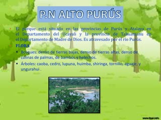 • El parque está situado en las provincias de Purús y Atalaya en
  el Departamento del Ucayali y la provincia de Tahuamanu en
  el Departamento de Madre de Dios. Es atravesado por el río Purús.
• FLORA
   Bosques: denso de tierras bajas, denso de tierras altas, denso de
     colinas de palmas, de bambús y helechos.
   Árboles: caoba, cedro, lupuna, huimba, shiringa, tornillo, aguaje, y
     ungurahui .
 