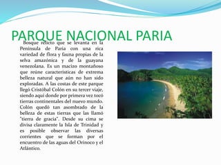 PARQUE NACIONAL PARIABosque relicto que se levanta en la
Península de Paria con una rica
variedad de flora y fauna propias de la
selva amazónica y de la guayana
venezolana. Es un macizo montañoso
que reúne características de extrema
belleza natural que aún no han sido
exploradas. A las costas de este parque
llegó Cristóbal Colón en su tercer viaje,
siendo aquí donde por primera vez tocó
tierras continentales del nuevo mundo.
Colón quedó tan asombrado de la
belleza de estas tierras que las llamó
"tierra de gracia". Desde su cima se
divisa claramente la Isla de Trinidad y
es posible observar las diversas
corrientes que se forman por el
encuentro de las aguas del Orinoco y el
Atlántico.
 