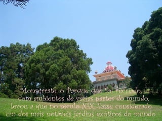 Monserrate, o Parque que foi recriado, com ambientes de várias partes do mundo, levou a que no século XIX, fosse considerado um dos mais notáveis jardins exóticos do mundo. 