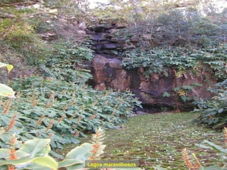 Lagos maravilhosos 