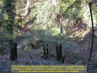 Os românticos do século XIX buscavam incessantemente a sugestão de evasão, no tempo e no espaço. Procuravam-na sobretudo, na arte – a literatura, a pintura, a arquitectura e, como no caso dos jardins de Monserrate, a botânica. 
