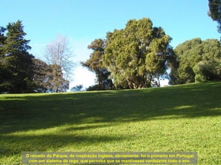 O relvado do Parque, de inspiração inglesa, obviamente, foi o primeiro em Portugal com um sistema de rega, que permitia que se mantivesse verdejante todo o ano. 