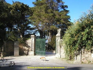 Entrada do Parque e Palácio de Monserrate. 