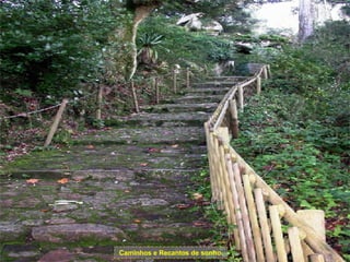 Caminhos e Recantos de sonho. 